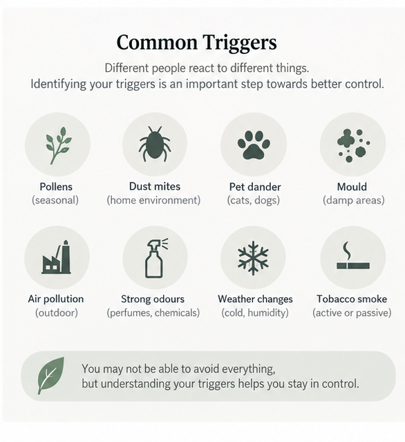 Common allergic rhinitis triggers including pollen, dust mites, pet dander, mould, pollution, odours, weather and smoke